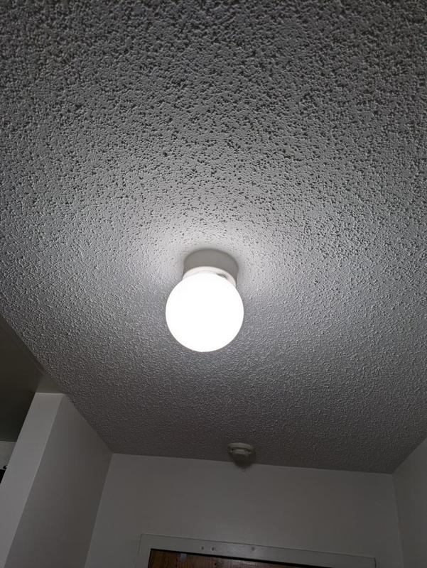 Light Globe Replacement for 3.25 inch ceiling fixture