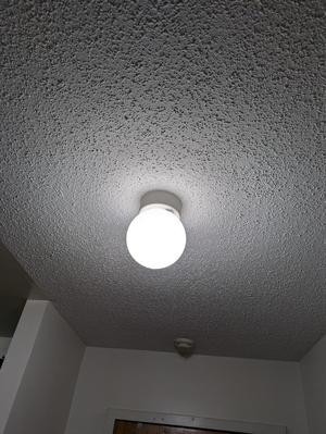 Light Globe Replacement for 3.25 inch ceiling fixture