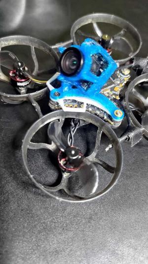 Tiny whoop canopy protection layer