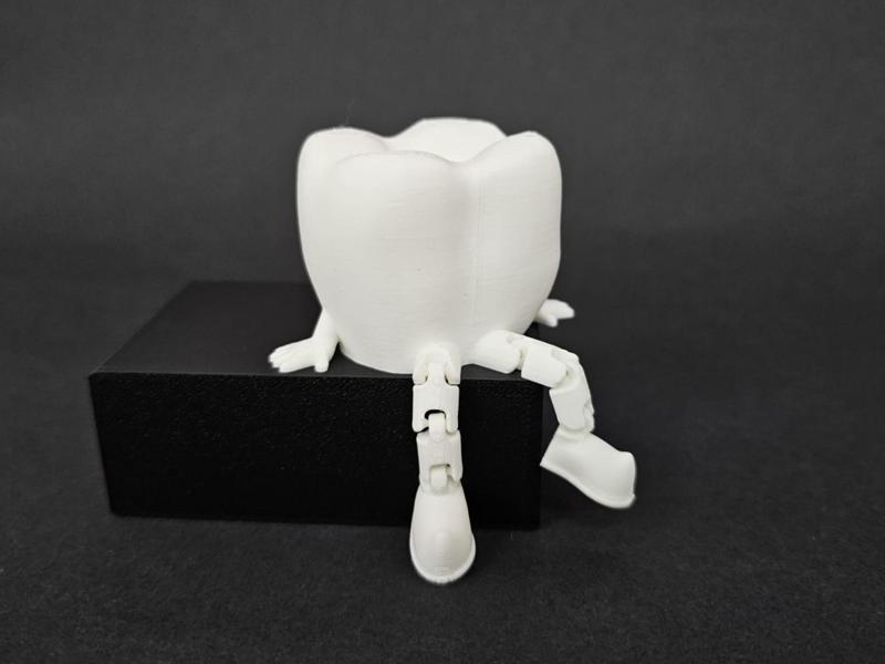 Articulated Tooth (Molar) Flexi Buddy Dentist Gift