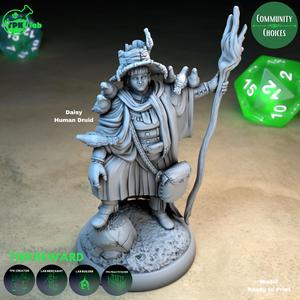 Daisy Human Druid