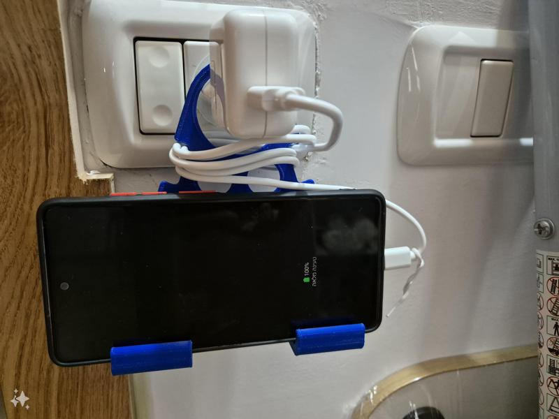 Phone Holder with Charging Cable Organizer