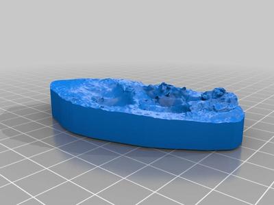 3D scanned animal tracks
