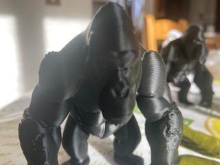 GORILLA 2 SERIE GORILLA