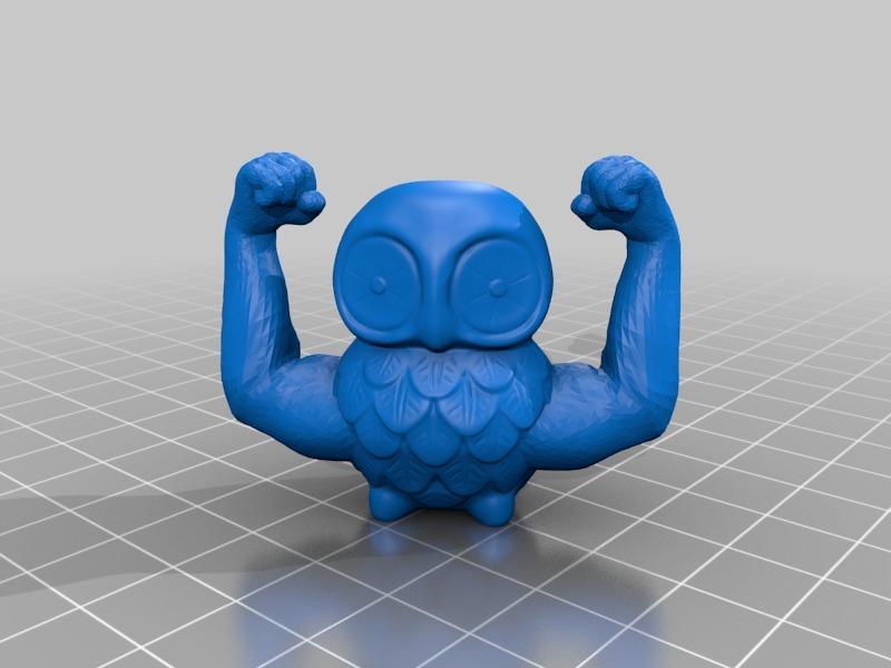 Strong Owl