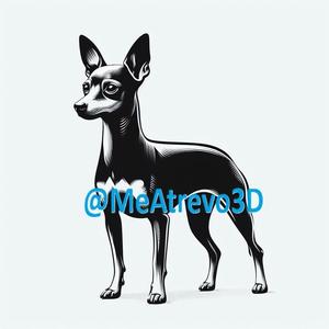Miniature Pinscher #3