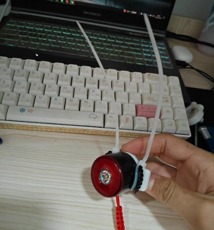 Black Horse Tail Lights