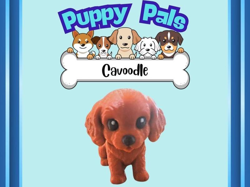 Puppy Pals: Cavoodle