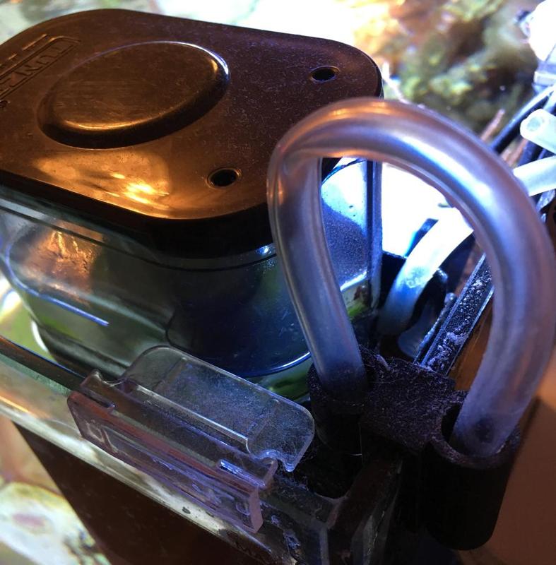 Hose guide for automatic water level controller