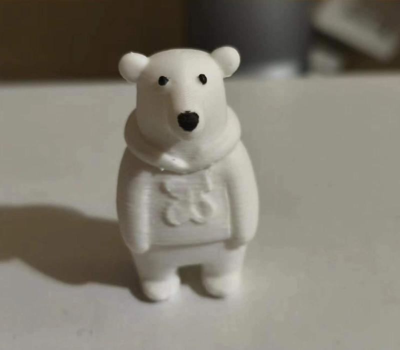 Polar bear in a sweatshirt