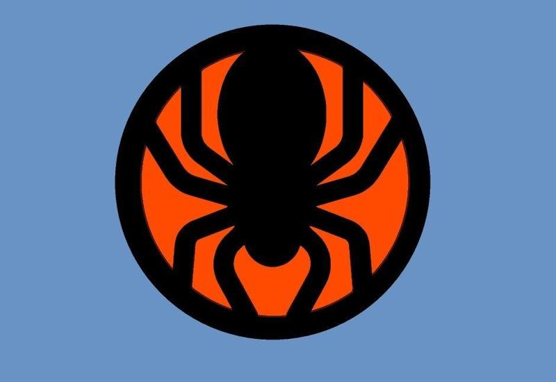 Spider Fridge Magnet