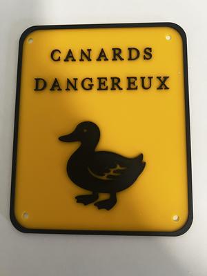 dangerous ducks