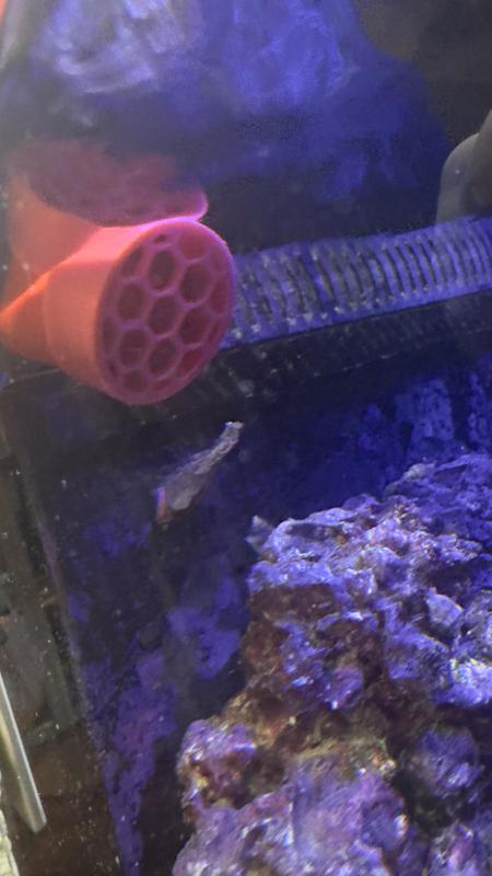 30mm water inlet cover for aquarium