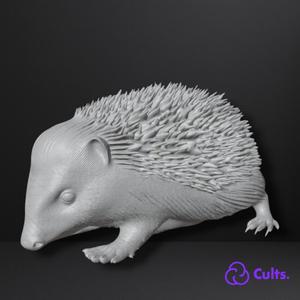 🦔 Curious Hedgehog - Detailed Sculpture for Natural Decoration & Collection