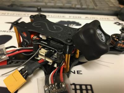 Tribute Triumph mount