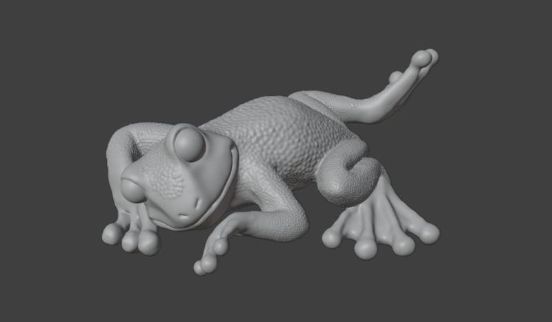 Blister-skinned Toad