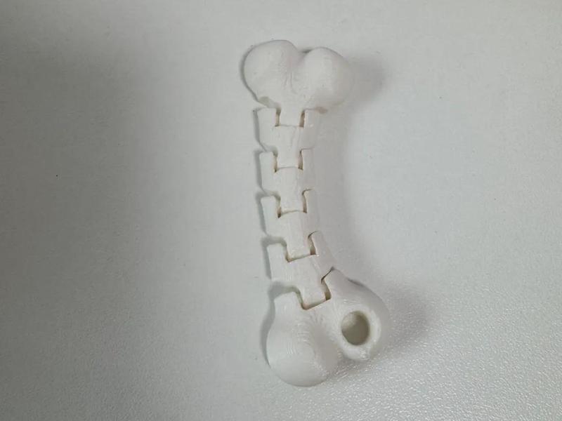 Articulated bone - Articulated toy - Bone pendant - Bone toy - Bone keychain