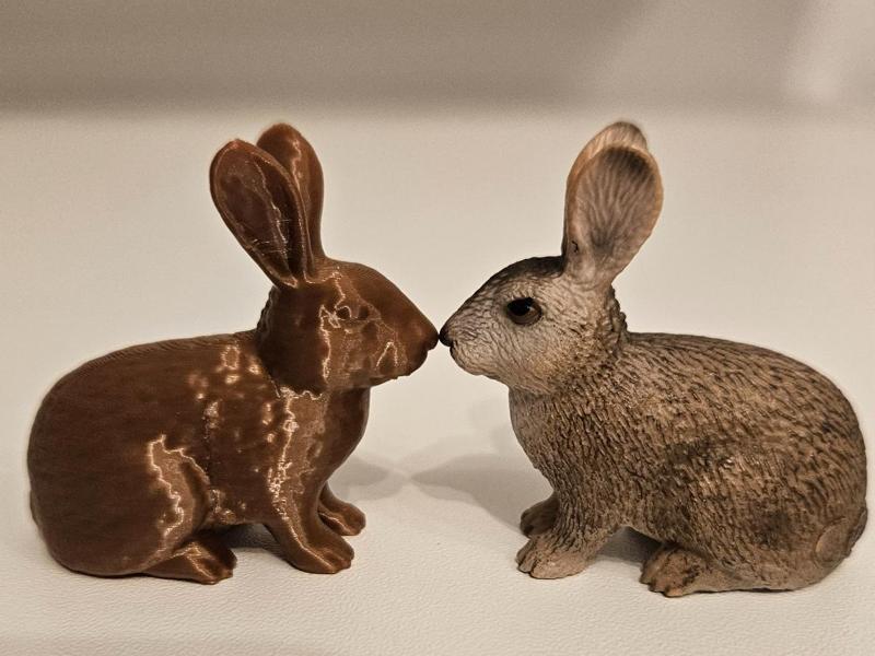 kleiner Hase - small bunny