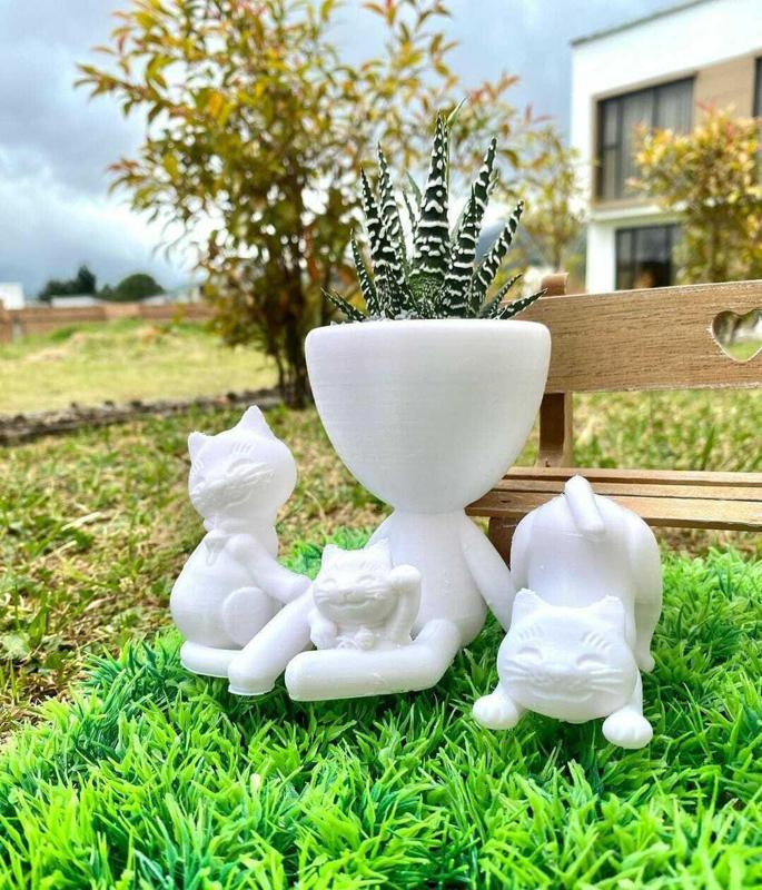 Robert Gatos Maceta Matera Cat Gafas