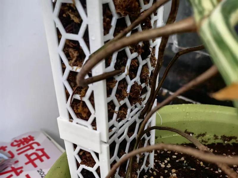 Connectable Sphagnum Moss Columns