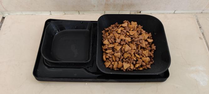 Water Trench Anti Ants Cat Food and Water Bowl