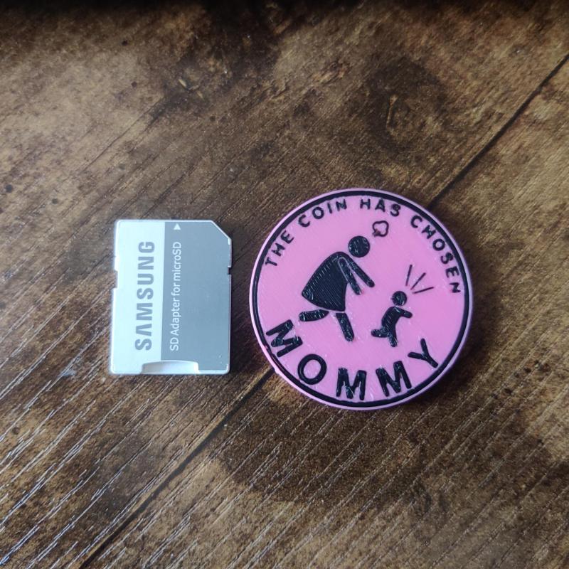 Diaper Duty Decider Coin - Smooth, Dual Color