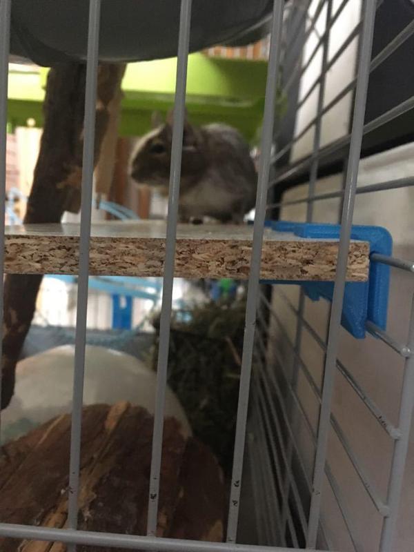 Floor support for Voltrega cages