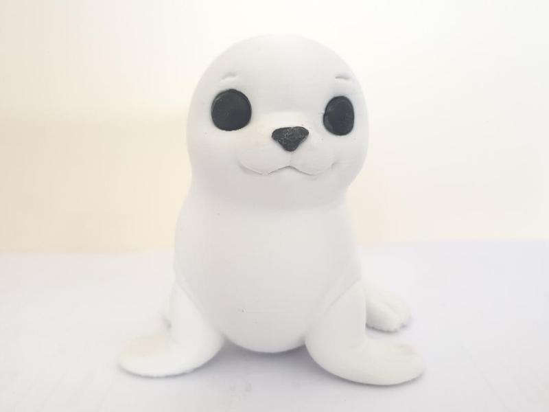 Cute Baby Seal  - NO AMS