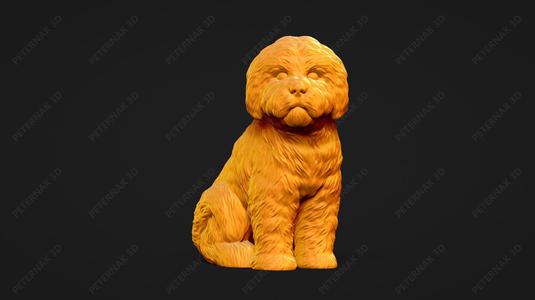 Bolognese Dog 3D Print Model Pose 06