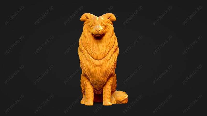 Collie Rough Dog 3D Print Model Pose 04