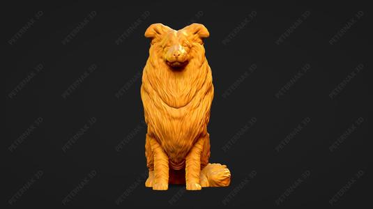 Collie Rough Dog 3D Print Model Pose 04