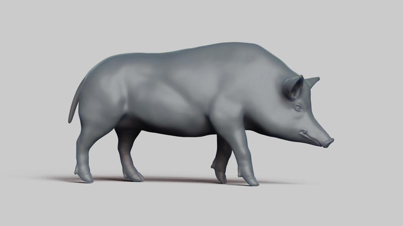 wildboar pose 03