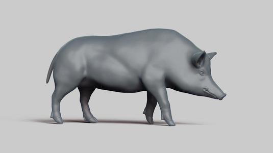 wildboar pose 03