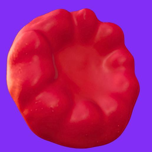 Red Bell Pepper Top View