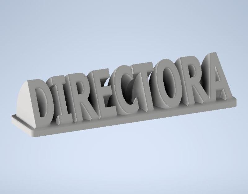 "DIRECTOR" Desk Plaque