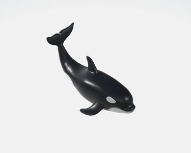 Orca killer whale 02