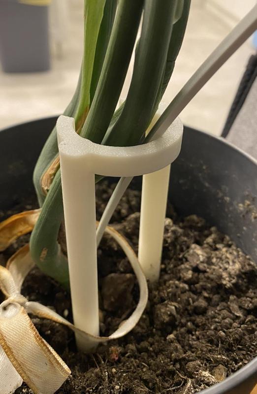 Flower and Plant Holder