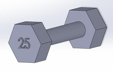Dumbbell 25