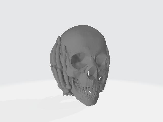 totem of the wisdom of death