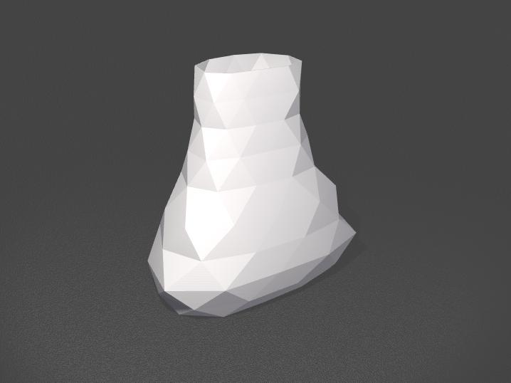 Organic Geometric Vase