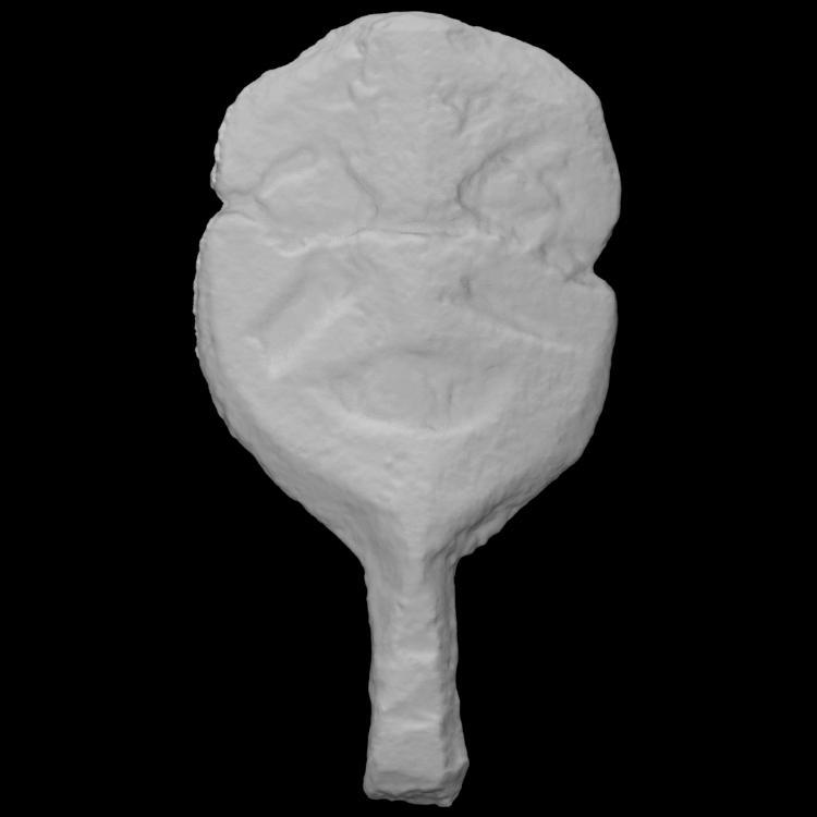 Anthropomorphic mask