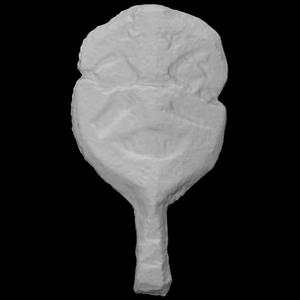 Anthropomorphic mask