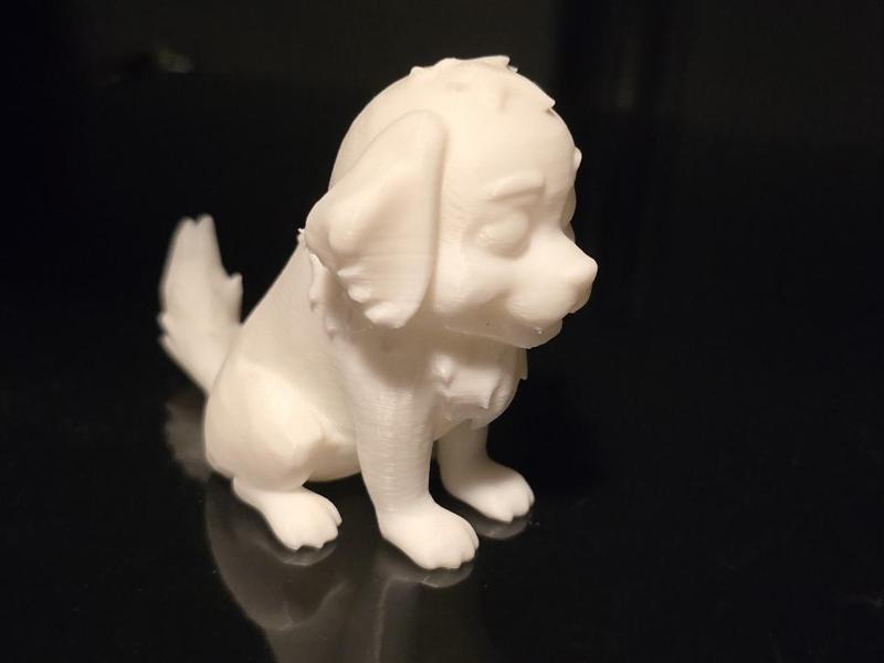 Man's best friend Dog