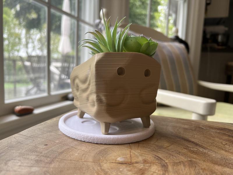 Shorty Rock Planter Pot