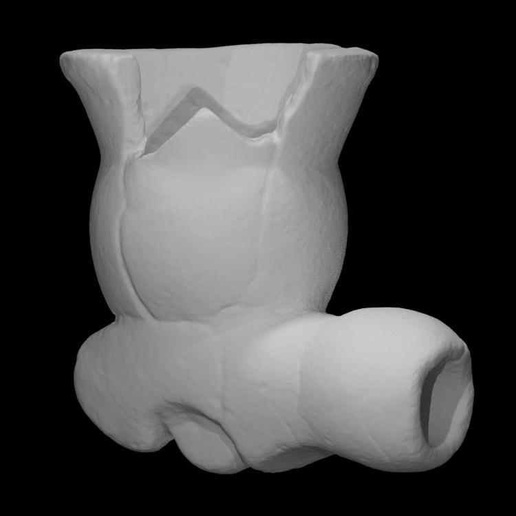 Clay smoking pipe