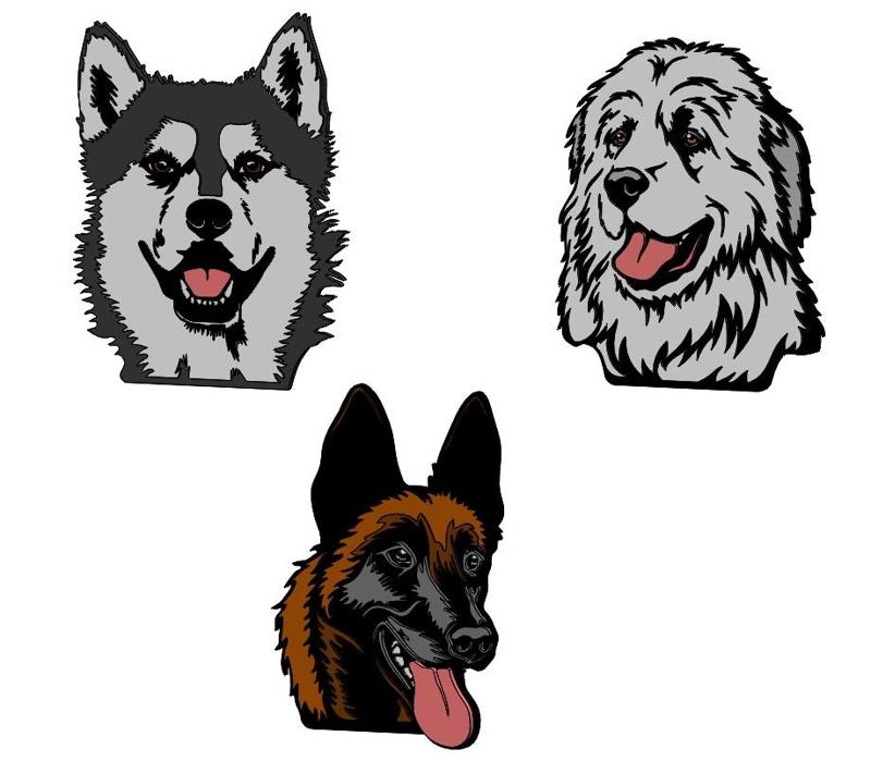 Placa 2D de perros - Husky - Great Pyrenees - Belgian Malinois