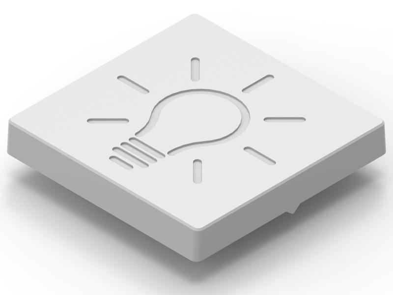 GIRA System 55 Standard Rocker Light-Icon