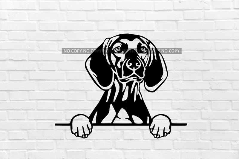 wall decoration Hungarian Shorthaired Pointer dog