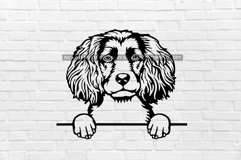 Boykin Spaniel dog wall decoration