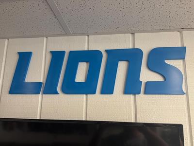 Detroit Lions Man Cave Letter Sign